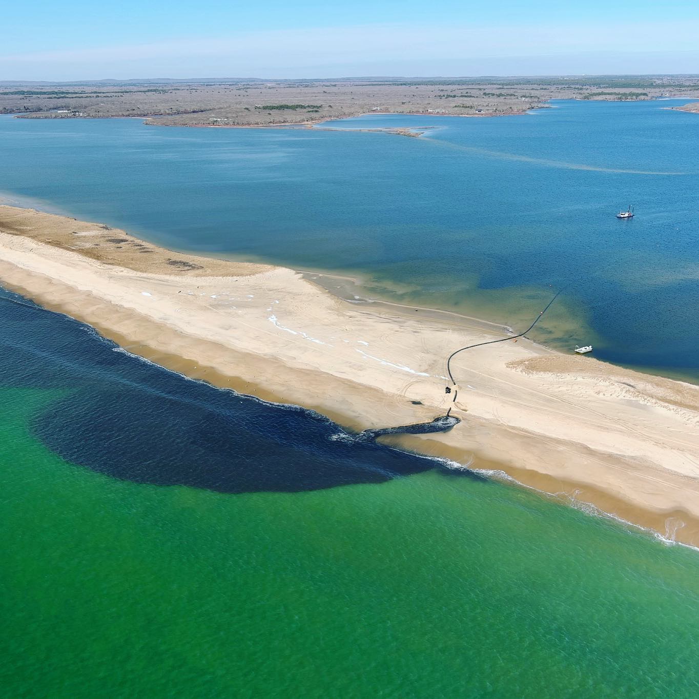 Great Pond Foundation » 2022 MV CYANO maps and data