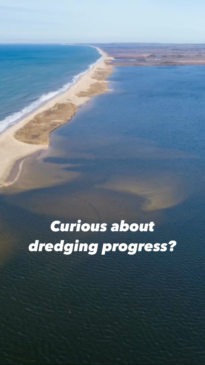 Great Pond Foundation » 2022 MV CYANO maps and data