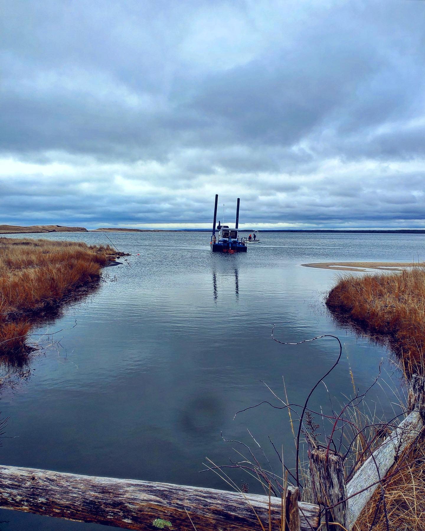 Great Pond Foundation » 2022 MV CYANO maps and data