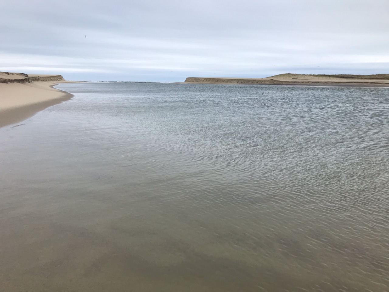 Great Pond Foundation » Pond Cut Update