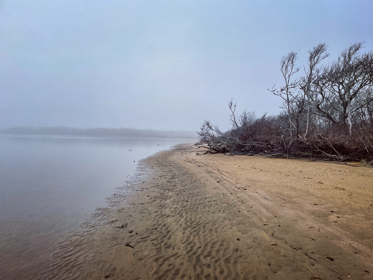 Great Pond Foundation Preserving Coastal Ponds through Science