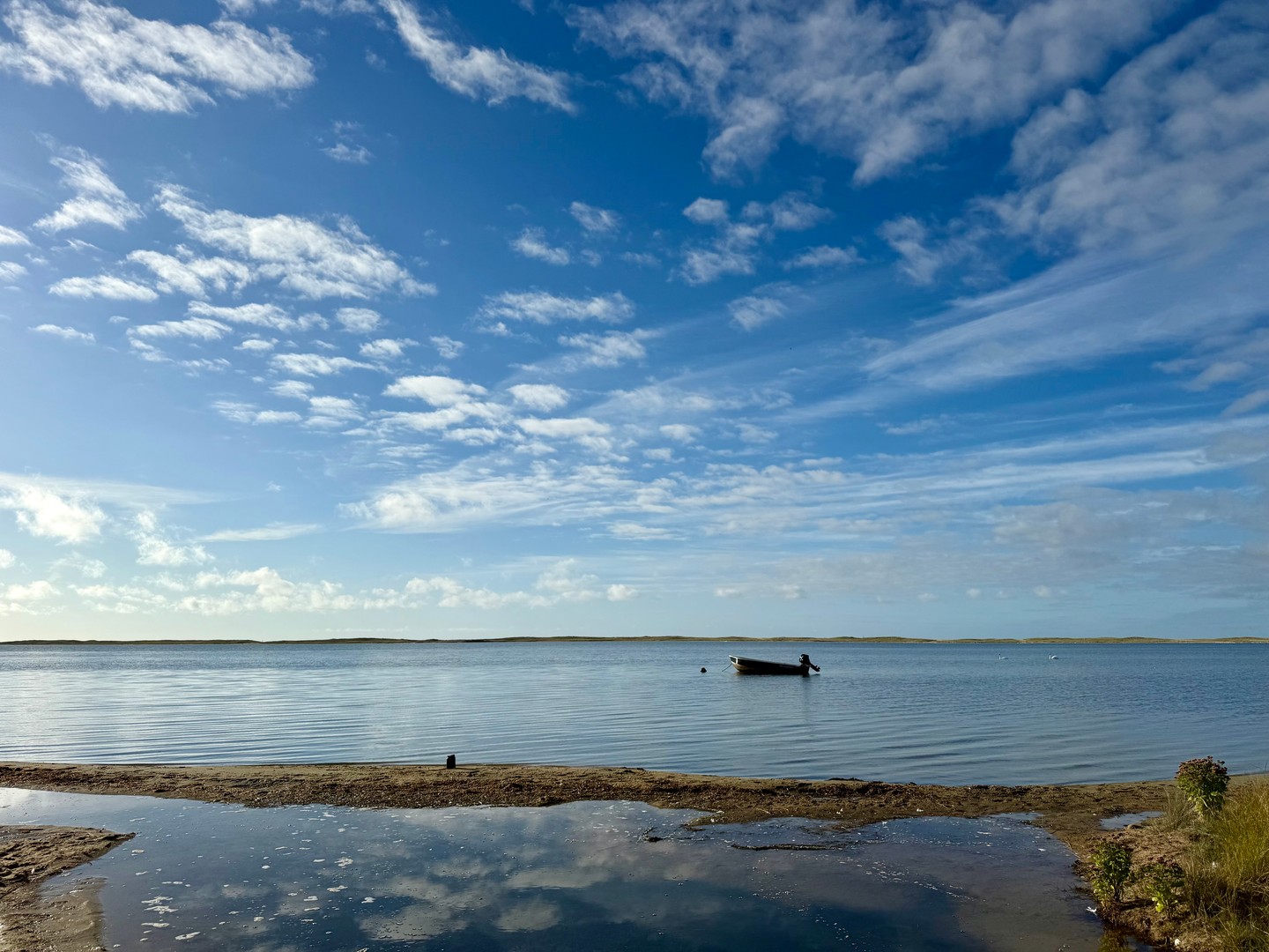 Fall Newsletter 🍂🍁🌰: EGP Summer Summary🌊, Plant Sampling 🌱 and 2024 Pond Reports✍️Summer field season recap, learn more about plant sampling and dive into our 2024 reports! Link in bio☝️
#fall #ponds #plants #reports #nitrogen #data #stats #newsletter #fieldseason #recap #marthasvineyard #greatpondfoundation