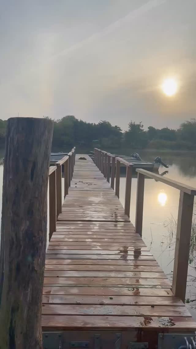 Our science team sampled #tisburygreatpond this morning ☀️and were greeted by some friends🦦! 
🔊up for nature and otter noises! 

#greatpondfoundation #tisburygreatpond #marthasvineyard #sampling #waterquality #otters #playing #dock #wildlife #nature #water #capeandislands #pond #animalsofinstagram #westtisbury #chilmark #island #islandlife #massachussets #🦦#otter