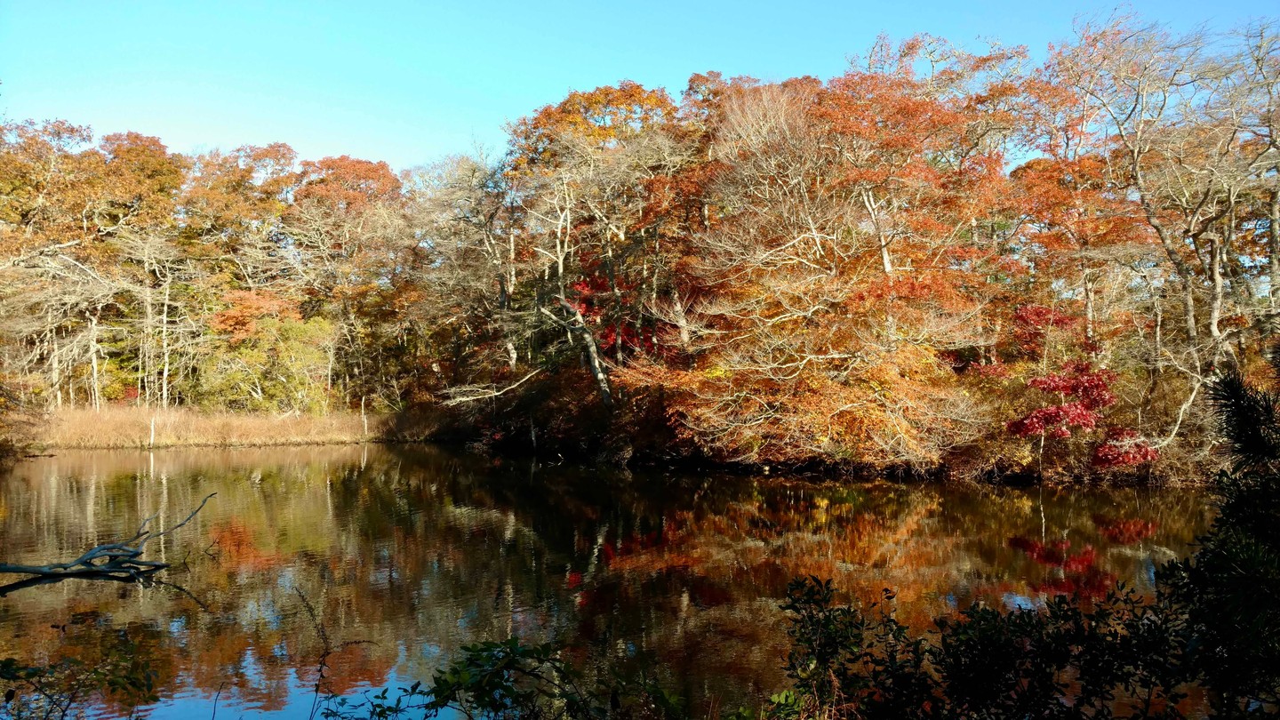 Giving Thanks; The 2025 Gratitude List is out!
The quiet beauty of fall 🍂on Martha’s Vineyard inspires a profound sense of gratitude🙏. On behalf of the Great Pond Foundation’s Board of Directors and Executive Director, we would like to express our gratitude for the following:
Check out the 2025 gratitude list LINK IN BIO ☝️

#gratitude #fall #thankyou #islandponds #greatpondfoundation #marthasvineyard #givingthanks