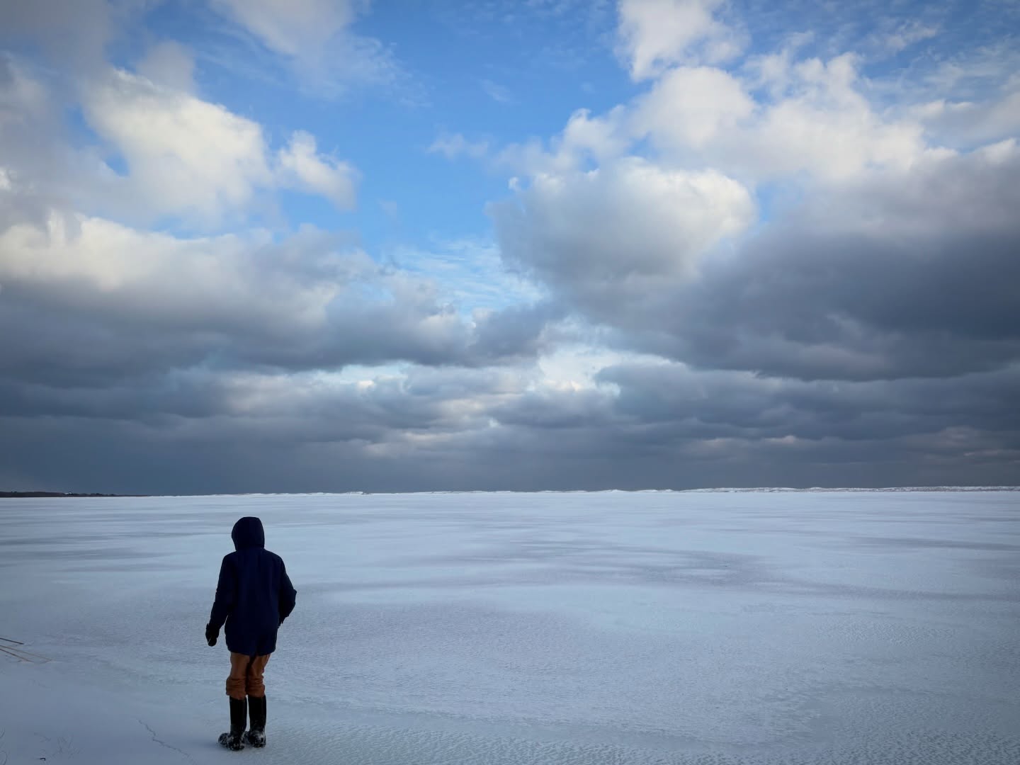 The Great Pond looks like a frozen tundra. Please be safe and remember that brackish ponds take longer to freeze 🥶 than freshwater ponds because of the salt 🧂. For now, we are admiring this winter ❄️ wonderland from the shore. #edgartowngreatpond #marthasvineyard #islandlife #frozen #ice