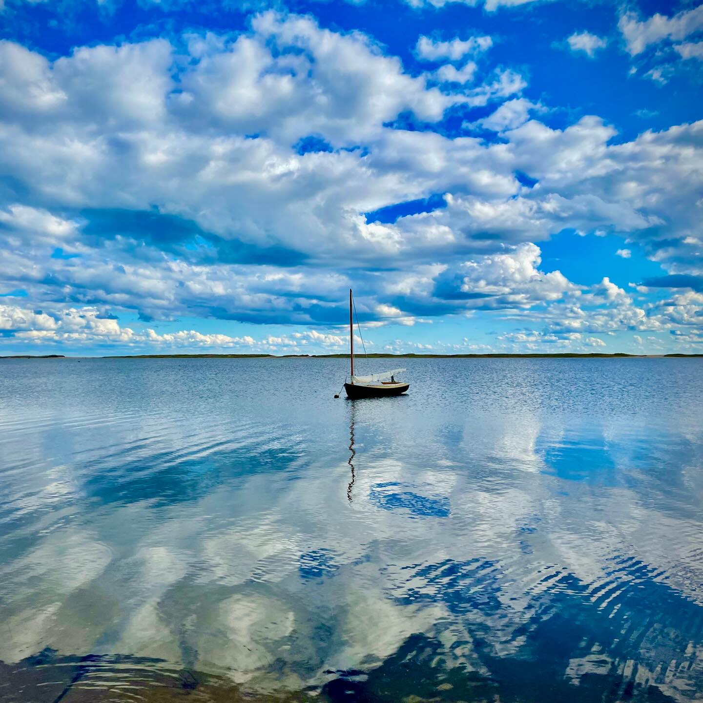 Do you ❤️ Edgartown Great Pond? Whatever your connection to the Pond, we all share 🤝one essential responsibility; to preserve & protect this rare Island treasure. Right now more than ever the Pond needs your help. 

⚠️ Edgartown Great Pond is at its tipping point. Adding more nitrogen will push it over the edge.

In 2022  Edgartown Great Pond exceeded its nitrogen limit. As a result we lost hundreds of acres of eelgrass and cyanobacteria🦠 increased. 

As of 2025 the Pond is showing signs of resilience and eelgrass is beginning to return. Adding more nitrogen will reverse this progress, potentially making restoration impossible. 
 If we don’t act now, the swimming 🏊‍♀️ , sailing ⛵️ , shellfishing 🦪 we all take for granted will no longer be an option. You cannot swim in a toxic pond.

It’s a privilege to live here and be part of this community, where your voice matters. 📣Please raise your voice.. 

📅 Join the MVC hybrid meeting Thursday, February 12 | 6:30 PM There will be continued discussion on the Katama Meadows proposal. You can submit a comment or register to speak.
🔗 For meeting details and background, visit the Choose Both: Island Environment & Housing news post LINK IN BIO 👆