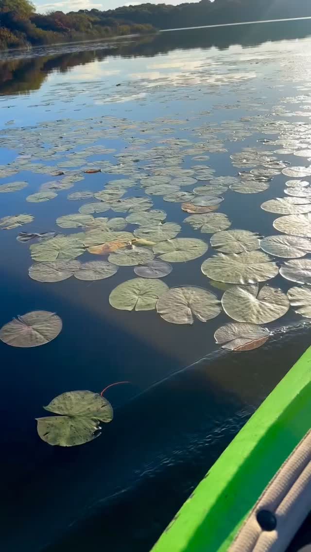 Happy 🌎 Day! We are so grateful for this beautiful place we call home 💙 Nothing beats being out on our peaceful waters... today and everyday is a reminder that the choices we make on land have a profound impact on our waters 🌊
#EarthDay #WaterSampling #marthasvineyard #LoveWhereYouLive