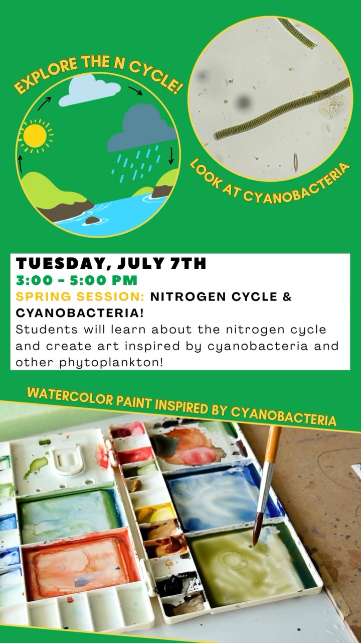 Join us and @slough_farm_mv educators for Tween STEAM: Science through Art, a fun hands-on series for ages 11-15. Explore environmental science while creating art inspired by what you learn. 

Sign up for sessions on slough farm calendar 🔗 in bio