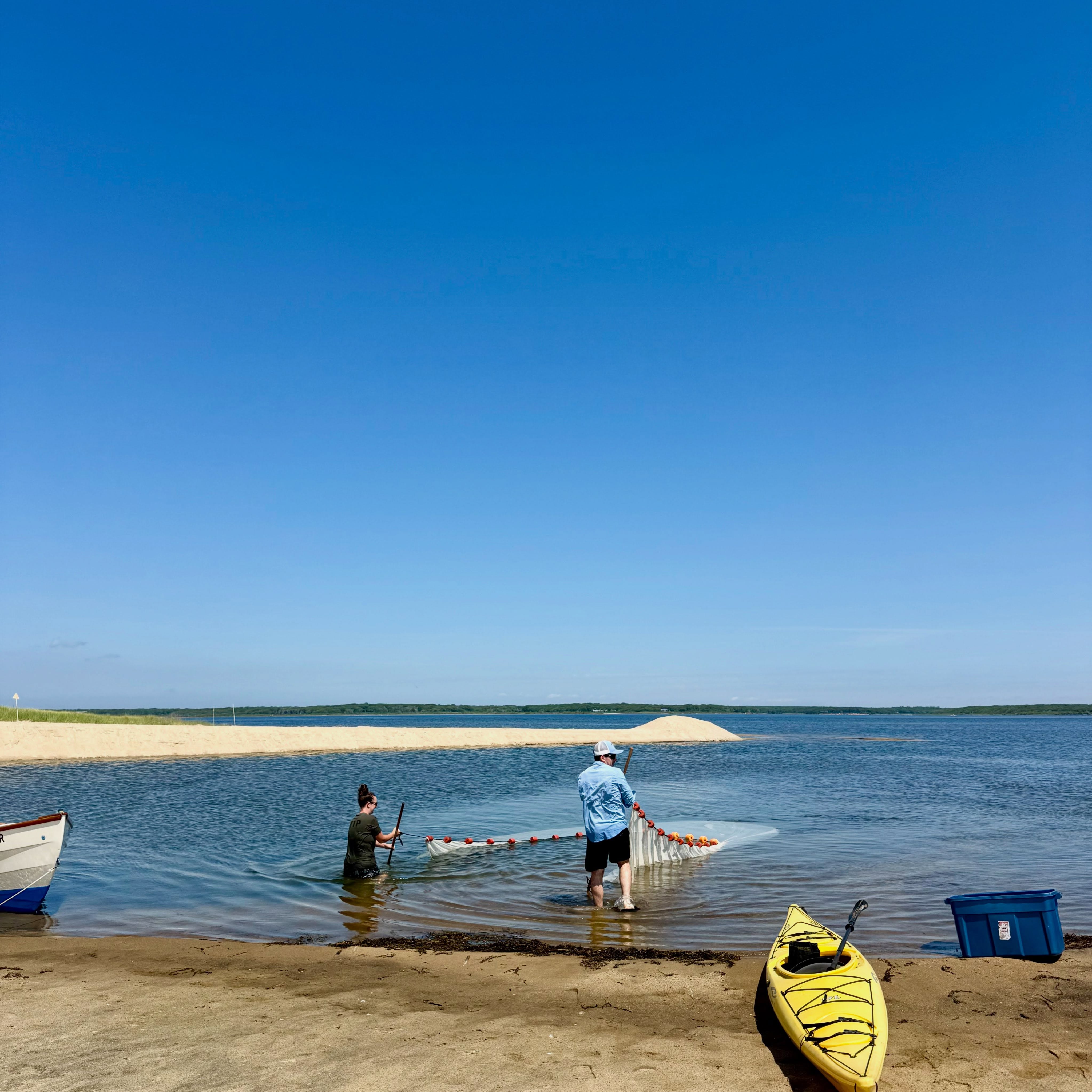 Tonight at **6:30 PM**, the Martha’s Vineyard Commission will decide the fate of the Katama Meadows project.

This decision will have lasting impacts on Edgartown Great Pond, a place that is meaningful to so many of us. It’s a living ecosystem, a classroom, and a community treasure. Protecting the health of the pond today helps ensure future generations can experience and appreciate it, too.

If you’re able, please join the meeting in person or on Zoom. Even showing up to listen makes a difference.

To understand the nuance of the situation please read “Decision Time” a piece by Jeremy Houser link in bio👆
Zoom link to the meeting is also in our bio 👆

Hope to see you tonight 💙