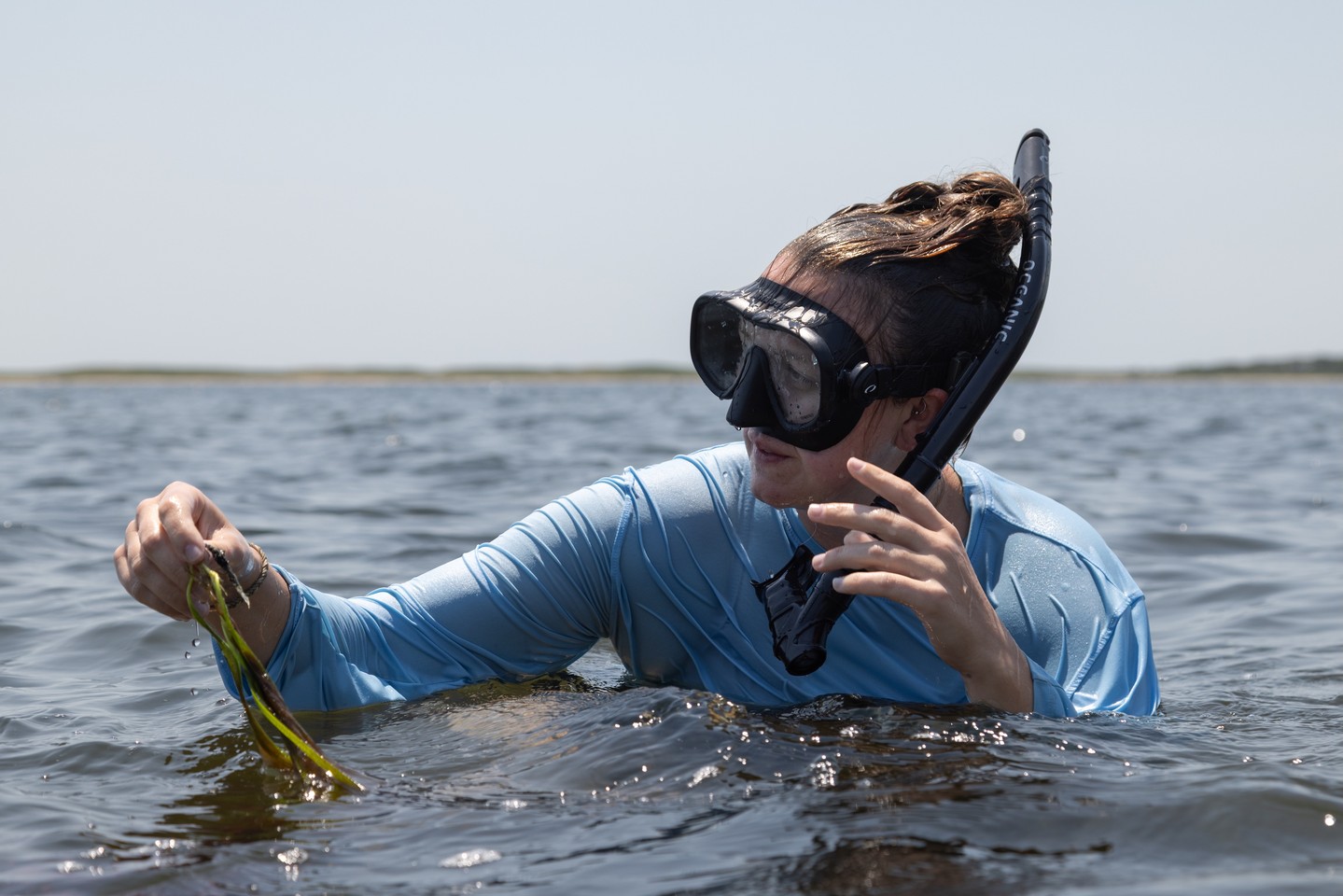 🌊 EGP CUT, EELGRASS MONITORING & GPF BOARD CHANGES

What’s happening in Edgartown Great Pond? 👀

Our latest newsletter highlights: 
-insight into a new research study during the next EGP cut, 
-our new eelgrass monitoring collaboration, and....
- GPF Board changes!

🌿 Read the latest newsletter to learn more! Link in bio.