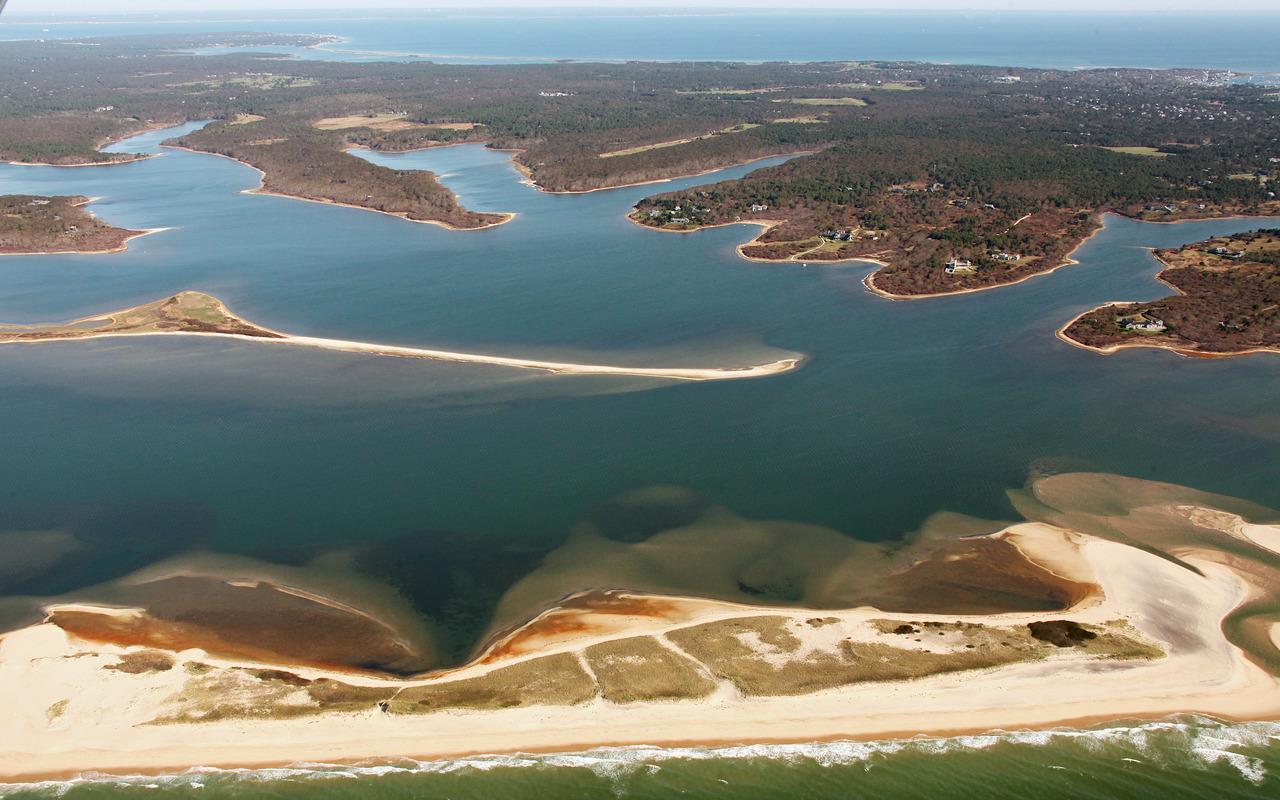 Great Pond Foundation » Discover The Pond