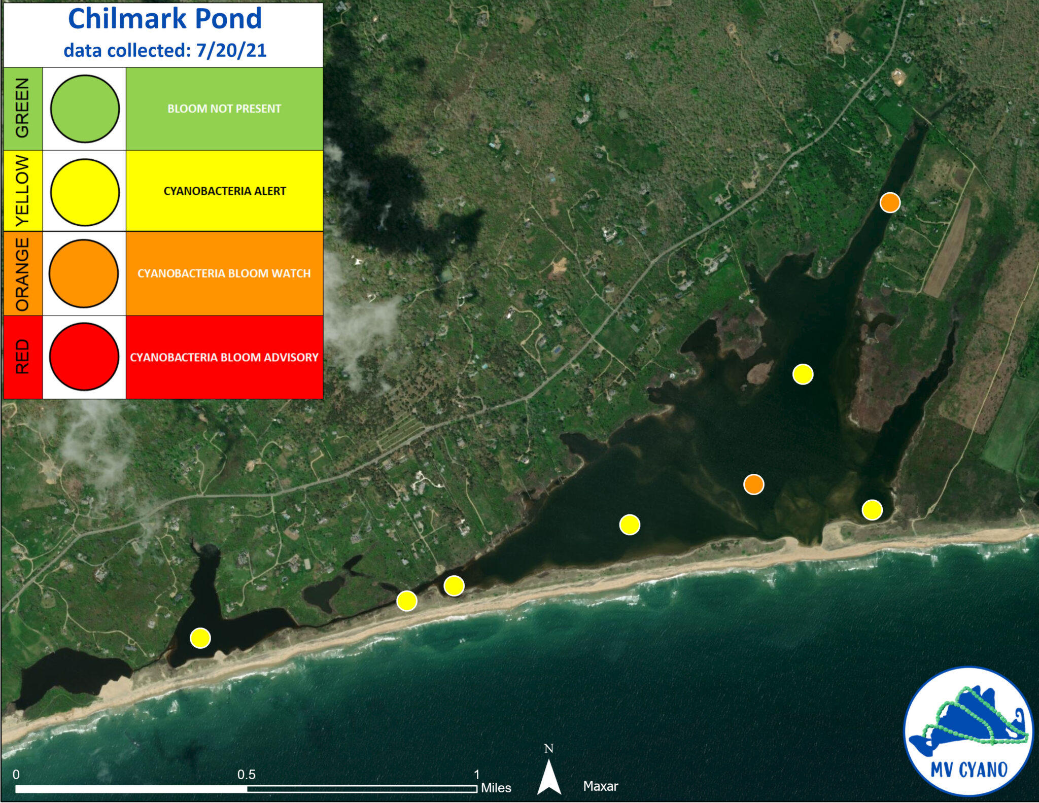 Great Pond Foundation » MV CYANO