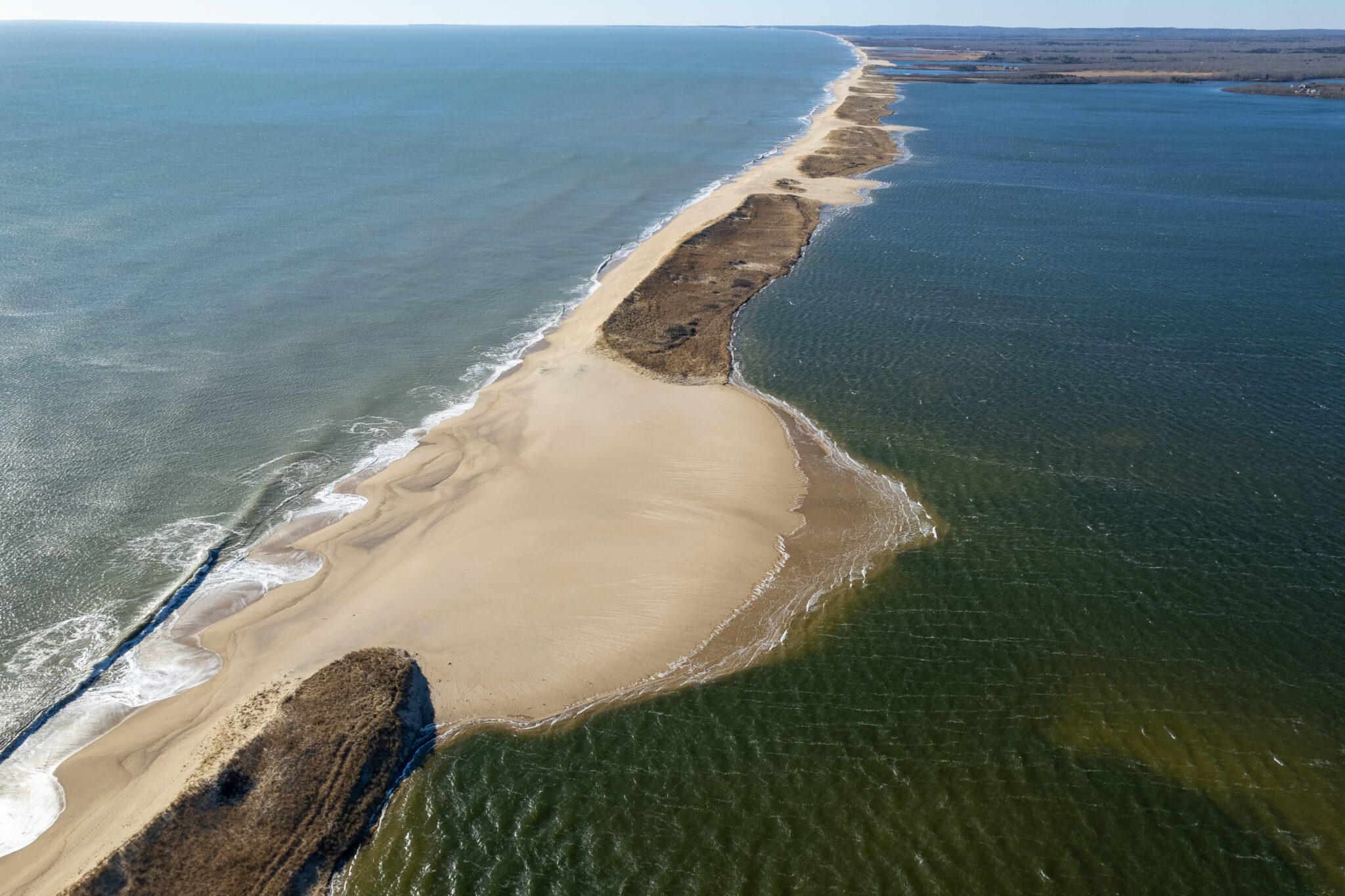 Great Pond Foundation » Pond Cut Scheduled