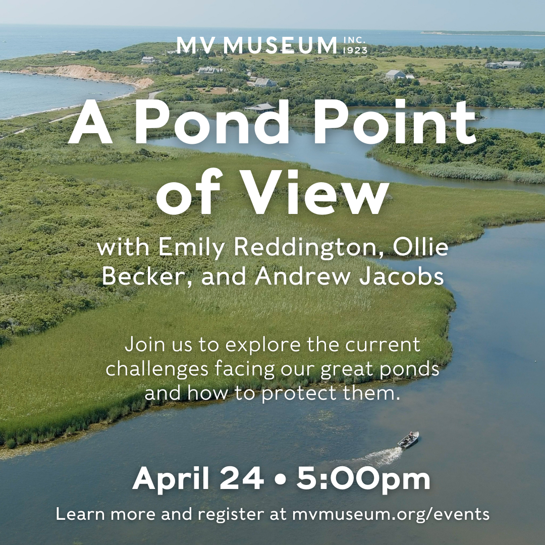 Great Pond Foundation » Pond Event at MV Museum