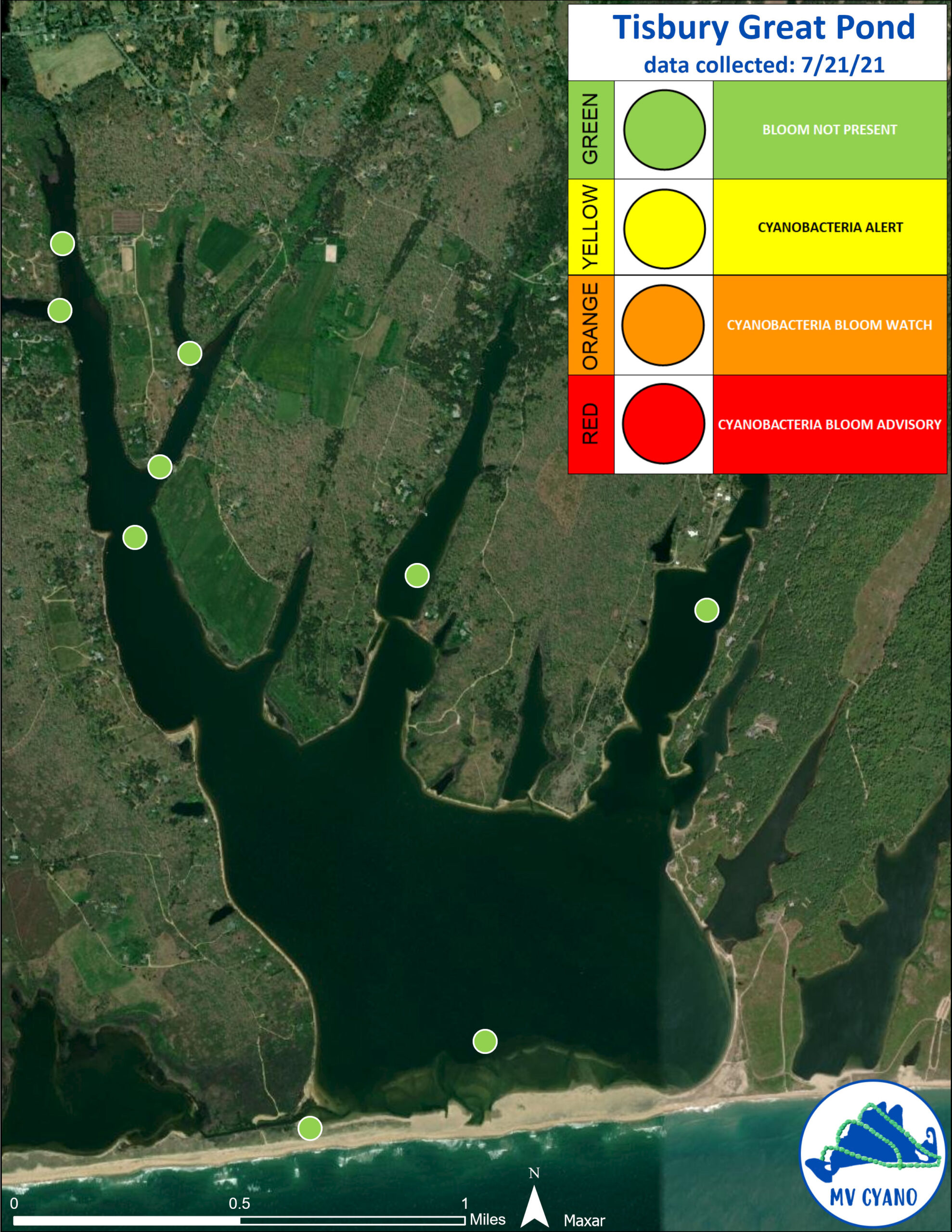 Great Pond Foundation » MV CYANO